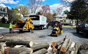 Trusted Aransas Pass, TX Tree Services Experts